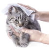NAPKIN GO HYGIENIZING – higieninė drėgna servetėlė-kapsulė / 50vnt