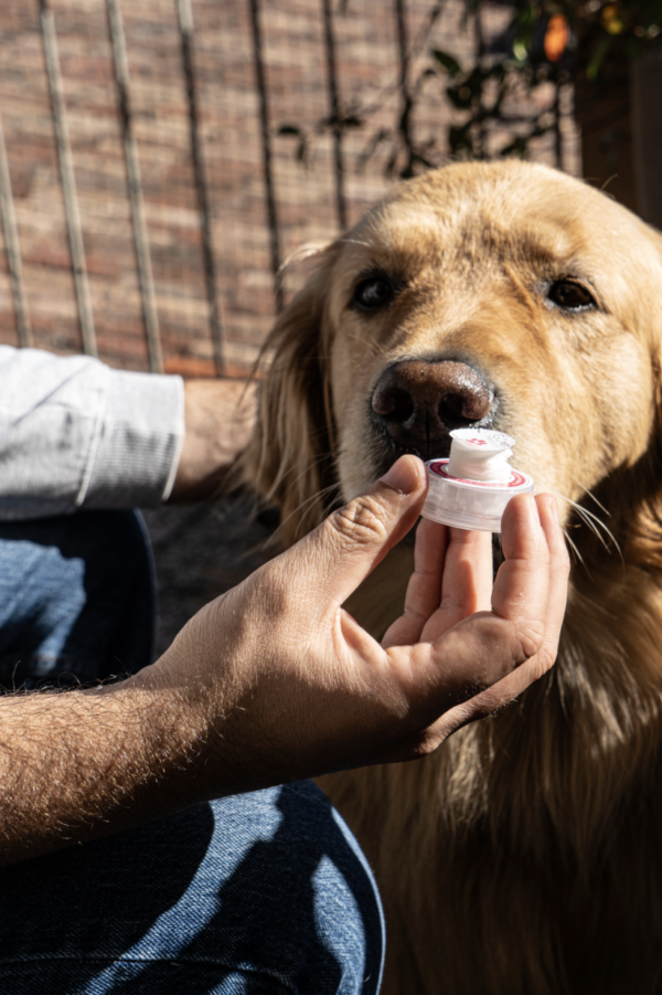 NAPKIN GO PET – drėgna servetėlė augintiniams